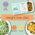 weight-loss-plan-Field-Doctor.webp